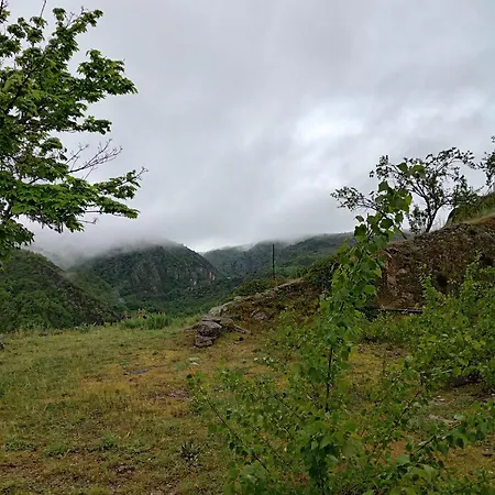 Les Amandiers